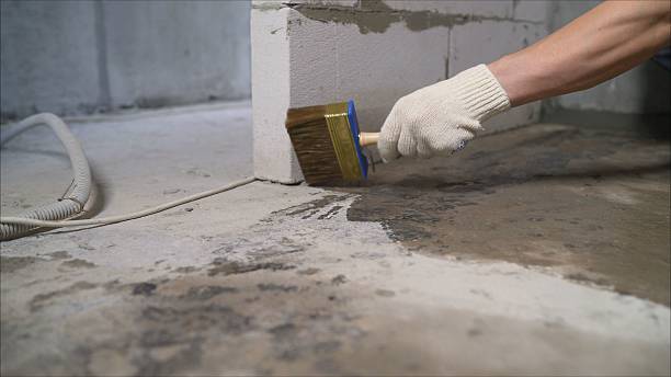 SJ Waterproofing Pros Exterior Waterproofing coverage map for Franklin, VA and surrounding area